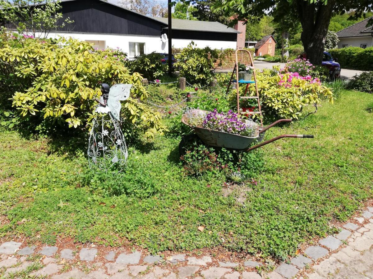 Hasenstall Rehburg-Loccum Exterior photo